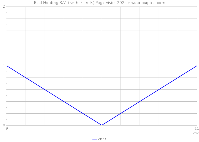 Baal Holding B.V. (Netherlands) Page visits 2024 