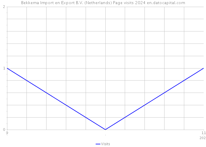 Bekkema Import en Export B.V. (Netherlands) Page visits 2024 