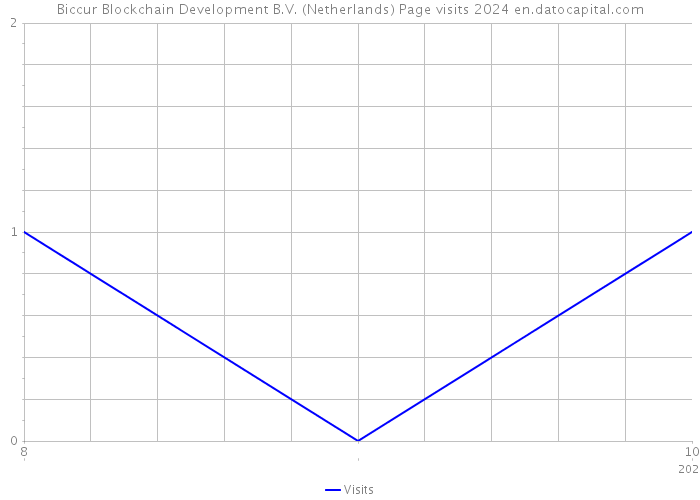 Biccur Blockchain Development B.V. (Netherlands) Page visits 2024 