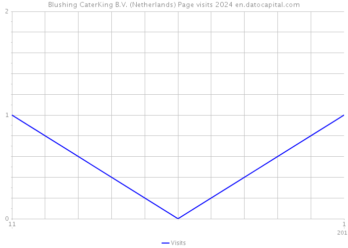 Blushing CaterKing B.V. (Netherlands) Page visits 2024 