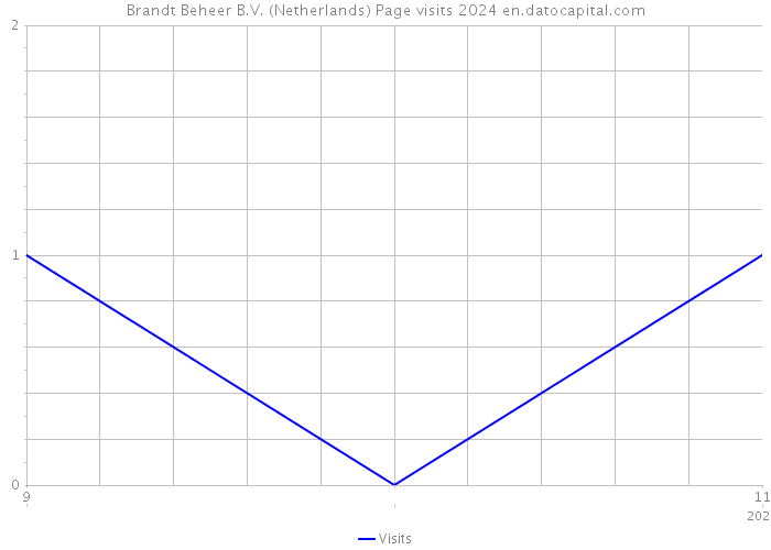 Brandt Beheer B.V. (Netherlands) Page visits 2024 