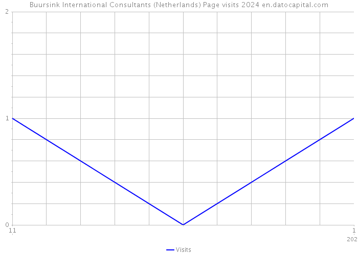 Buursink International Consultants (Netherlands) Page visits 2024 