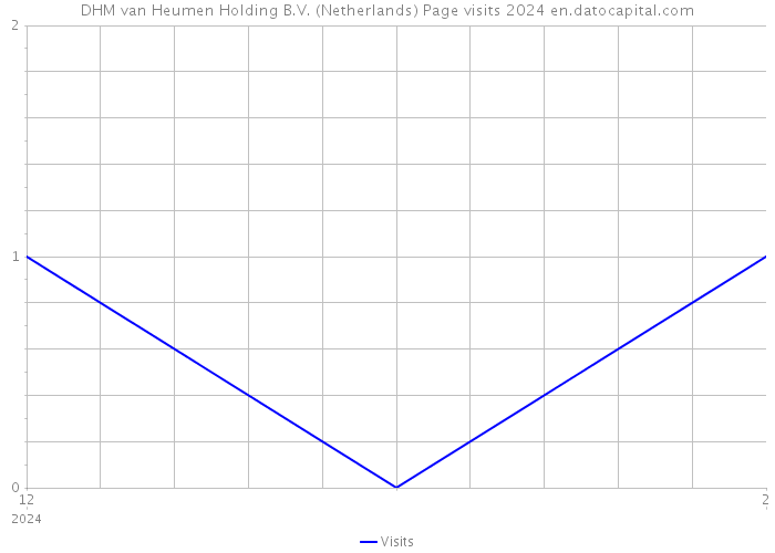 DHM van Heumen Holding B.V. (Netherlands) Page visits 2024 