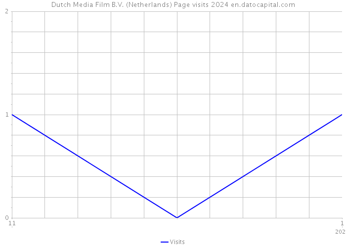 Dutch Media Film B.V. (Netherlands) Page visits 2024 