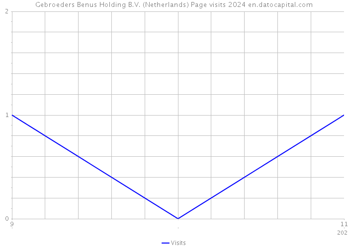 Gebroeders Benus Holding B.V. (Netherlands) Page visits 2024 