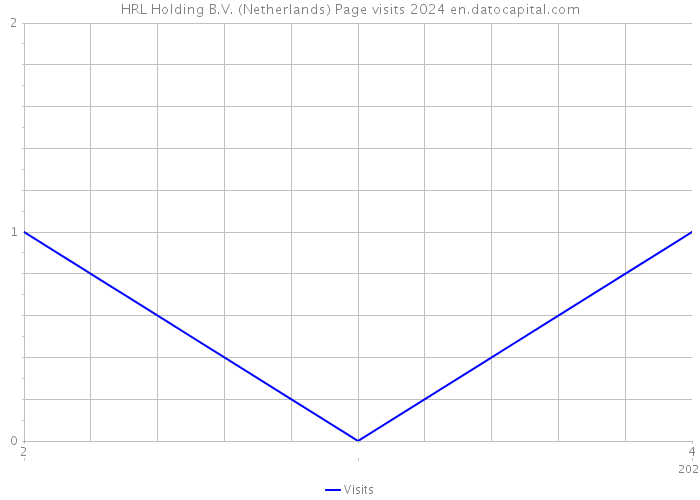 HRL Holding B.V. (Netherlands) Page visits 2024 