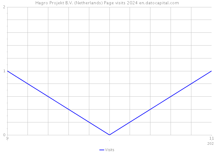 Hagro Projekt B.V. (Netherlands) Page visits 2024 