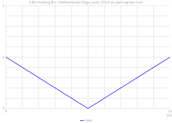 K&S Holding B.V. (Netherlands) Page visits 2024 