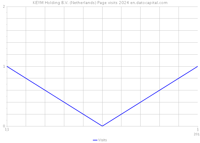 KEYM Holding B.V. (Netherlands) Page visits 2024 