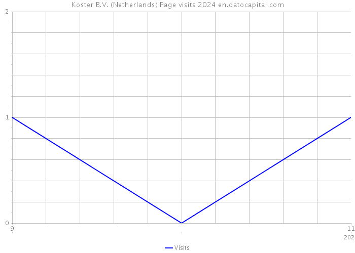 Koster B.V. (Netherlands) Page visits 2024 