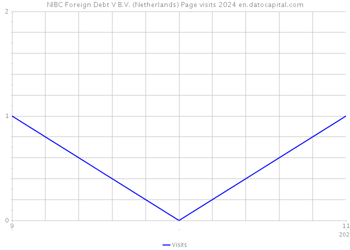 NIBC Foreign Debt V B.V. (Netherlands) Page visits 2024 