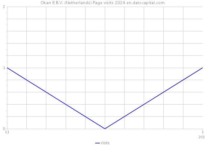 Okan E B.V. (Netherlands) Page visits 2024 