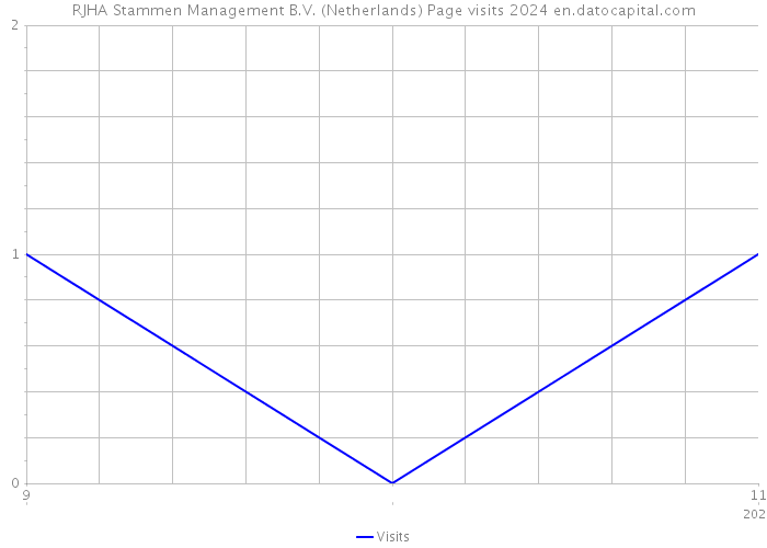 RJHA Stammen Management B.V. (Netherlands) Page visits 2024 