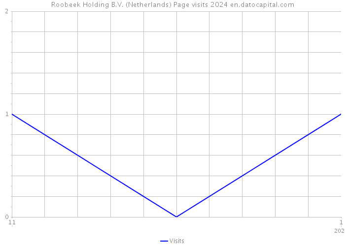 Roobeek Holding B.V. (Netherlands) Page visits 2024 