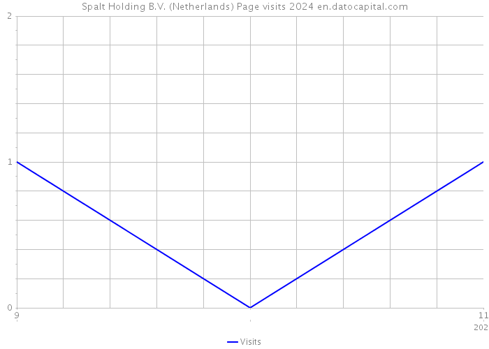 Spalt Holding B.V. (Netherlands) Page visits 2024 