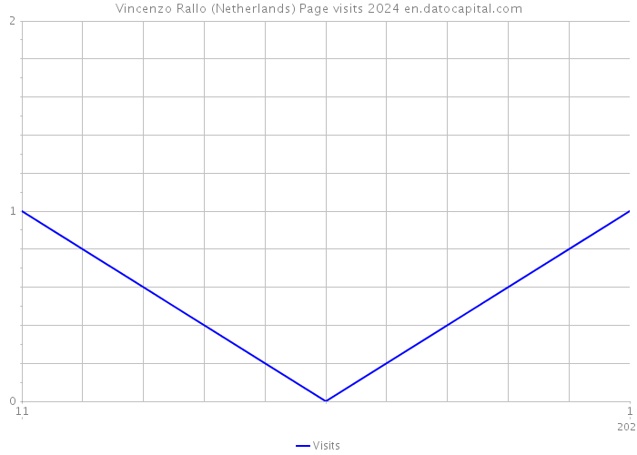 Vincenzo Rallo (Netherlands) Page visits 2024 