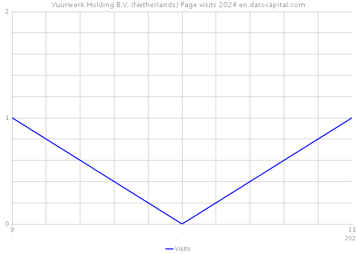 Vuurwerk Holding B.V. (Netherlands) Page visits 2024 