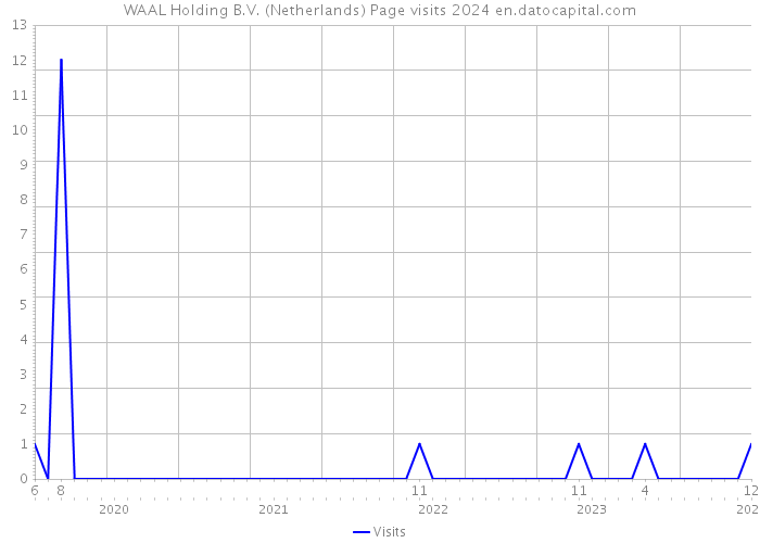 WAAL Holding B.V. (Netherlands) Page visits 2024 