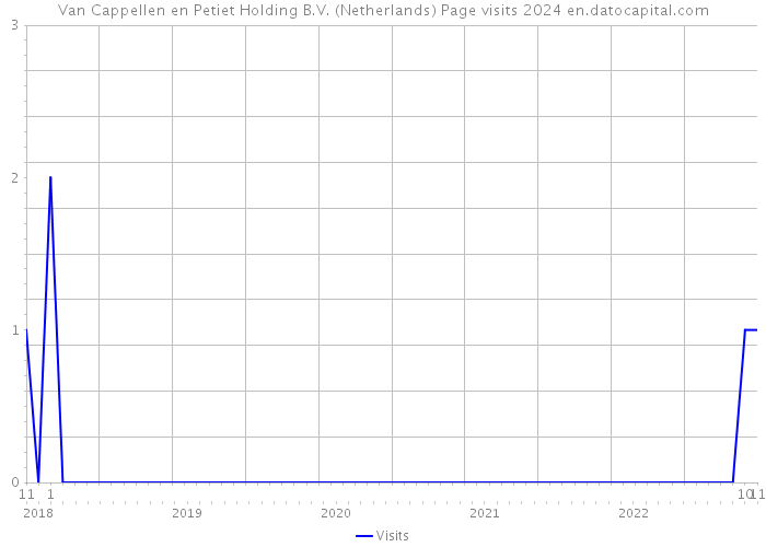 Van Cappellen en Petiet Holding B.V. (Netherlands) Page visits 2024 