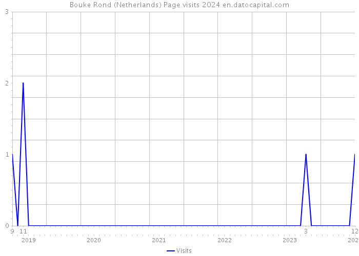 Bouke Rond (Netherlands) Page visits 2024 