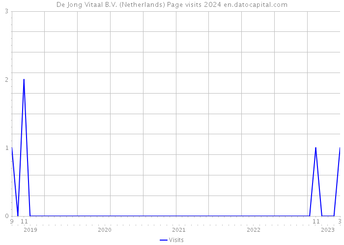 De Jong Vitaal B.V. (Netherlands) Page visits 2024 