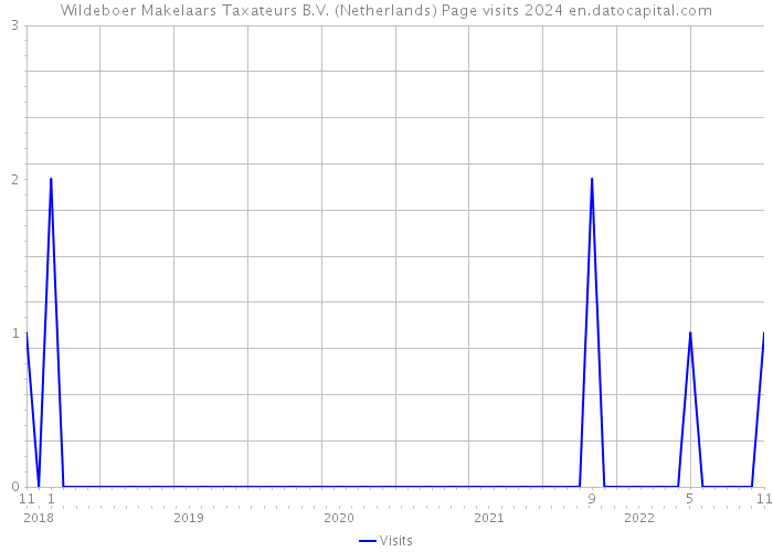 Wildeboer Makelaars Taxateurs B.V. (Netherlands) Page visits 2024 