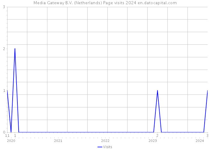 Media Gateway B.V. (Netherlands) Page visits 2024 