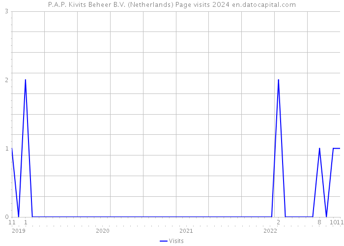 P.A.P. Kivits Beheer B.V. (Netherlands) Page visits 2024 