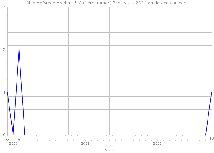 Milo Hofstede Holding B.V. (Netherlands) Page visits 2024 