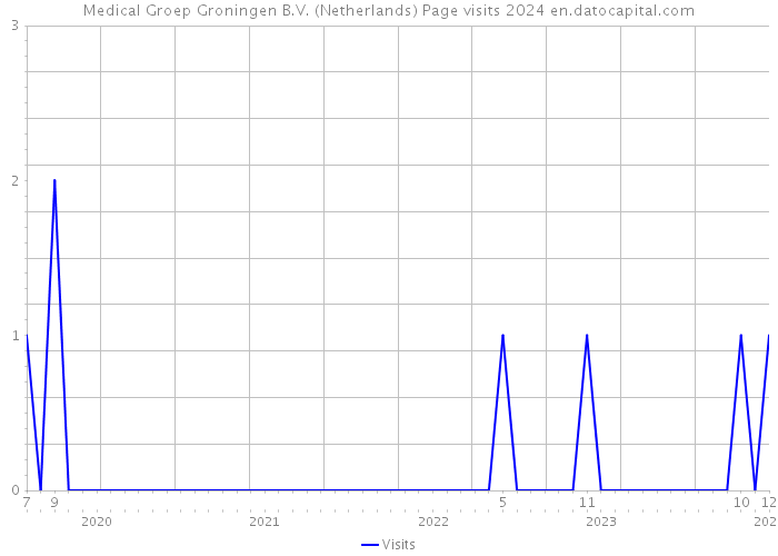 Medical Groep Groningen B.V. (Netherlands) Page visits 2024 