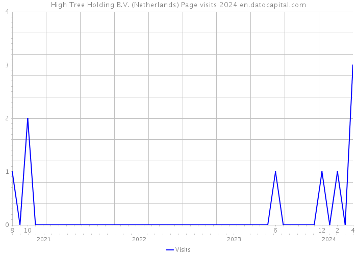High Tree Holding B.V. (Netherlands) Page visits 2024 