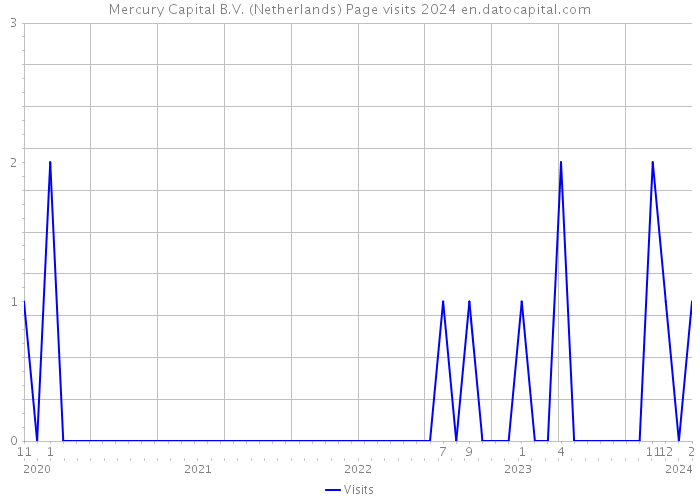 Mercury Capital B.V. (Netherlands) Page visits 2024 