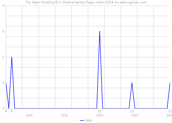 Ter Haar Holding B.V. (Netherlands) Page visits 2024 