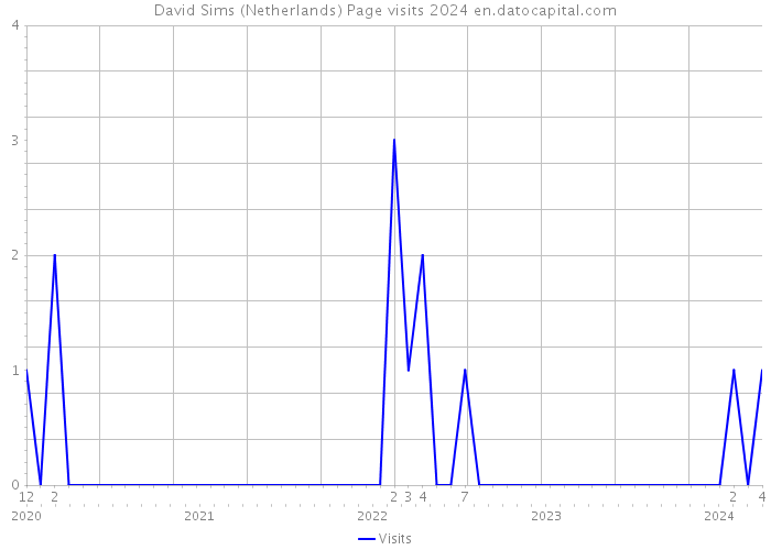 David Sims (Netherlands) Page visits 2024 