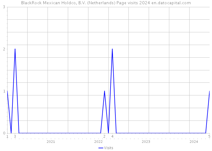 BlackRock Mexican Holdco, B.V. (Netherlands) Page visits 2024 
