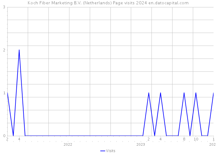 Koch Fiber Marketing B.V. (Netherlands) Page visits 2024 