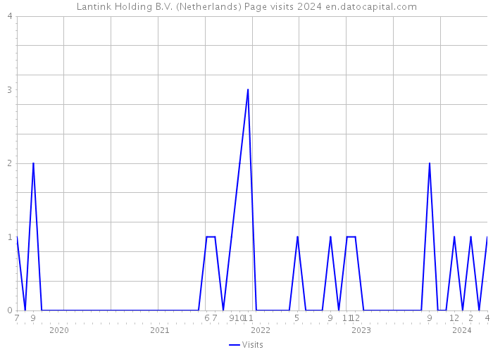 Lantink Holding B.V. (Netherlands) Page visits 2024 