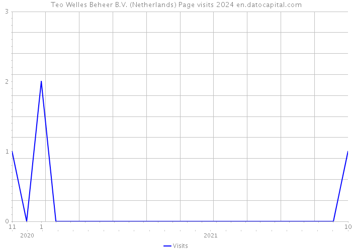 Teo Welles Beheer B.V. (Netherlands) Page visits 2024 