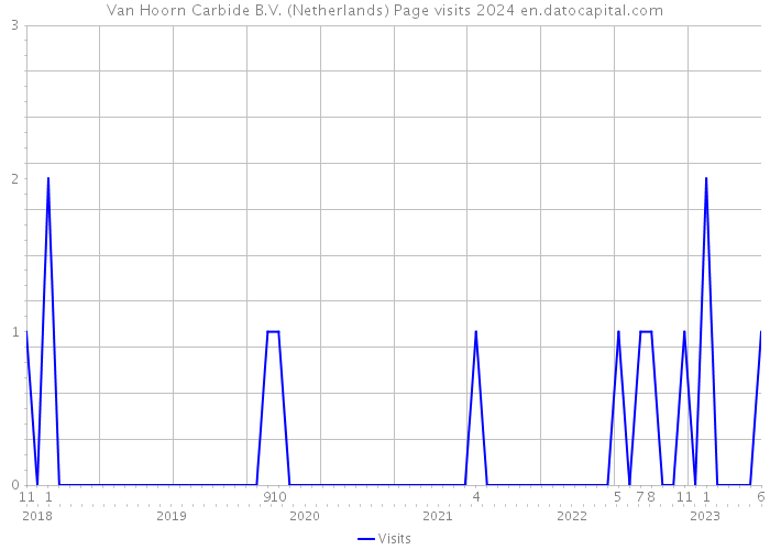 Van Hoorn Carbide B.V. (Netherlands) Page visits 2024 