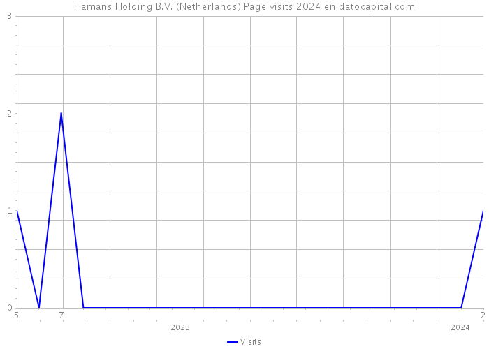 Hamans Holding B.V. (Netherlands) Page visits 2024 