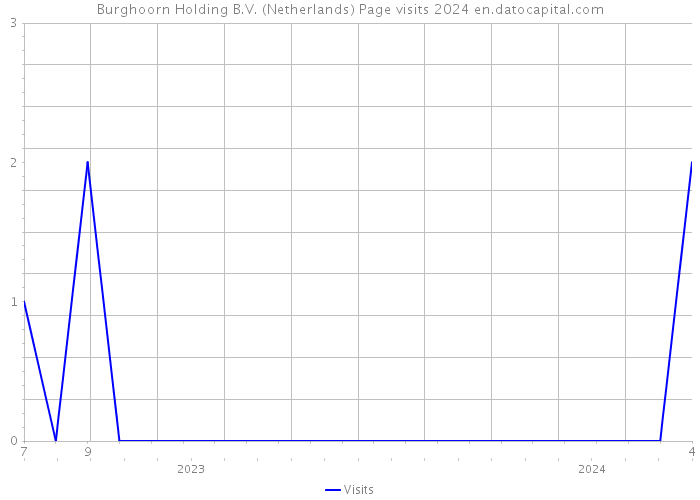 Burghoorn Holding B.V. (Netherlands) Page visits 2024 