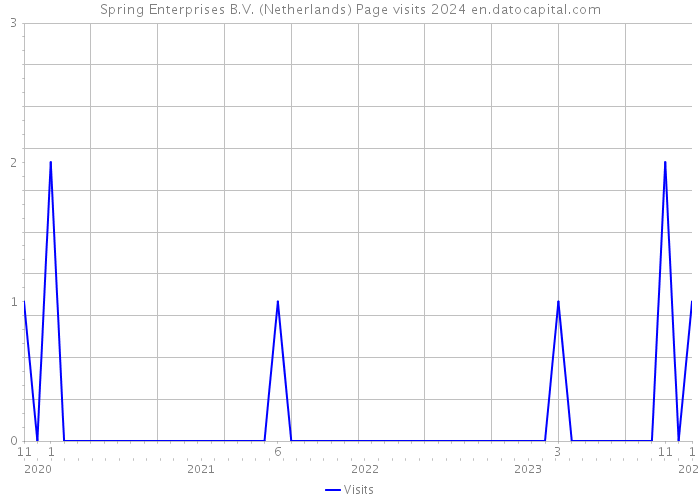 Spring Enterprises B.V. (Netherlands) Page visits 2024 
