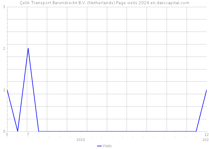 Çelik Transport Barendrecht B.V. (Netherlands) Page visits 2024 