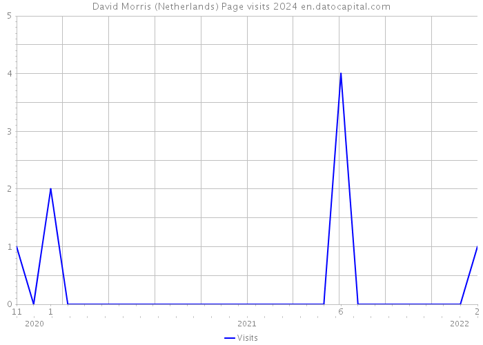 David Morris (Netherlands) Page visits 2024 