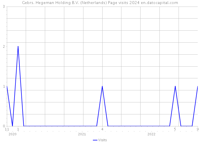 Gebrs. Hegeman Holding B.V. (Netherlands) Page visits 2024 