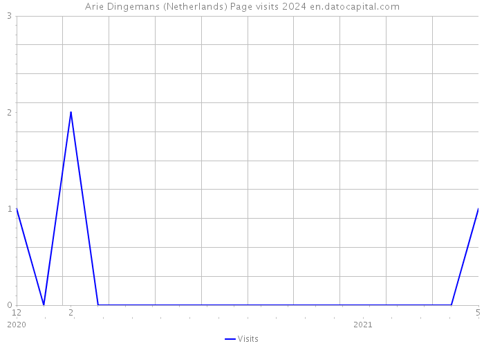 Arie Dingemans (Netherlands) Page visits 2024 
