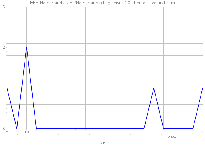 HBM Netherlands N.V. (Netherlands) Page visits 2024 