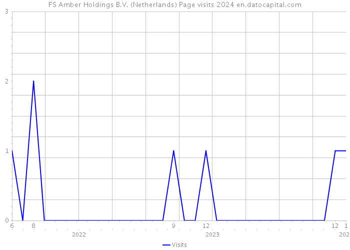 FS Amber Holdings B.V. (Netherlands) Page visits 2024 