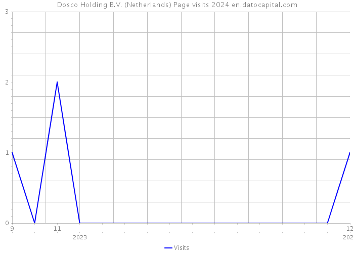 Dosco Holding B.V. (Netherlands) Page visits 2024 