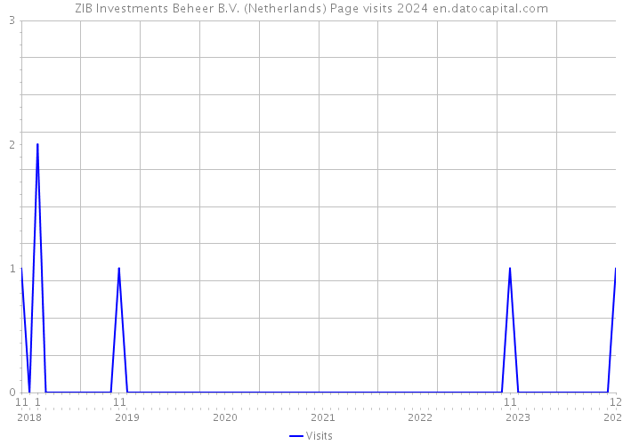 ZIB Investments Beheer B.V. (Netherlands) Page visits 2024 